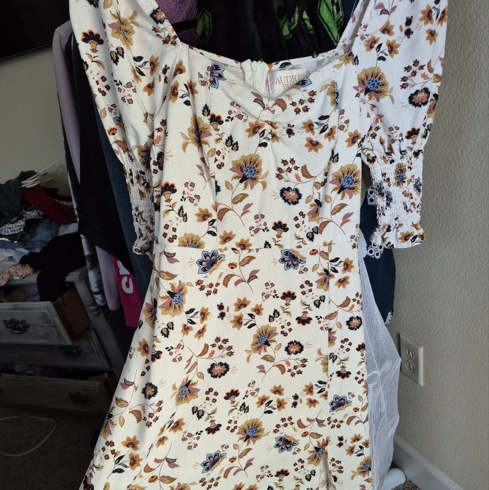 Francesca's Collections Cream and Blue Ruched Sundress